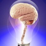 Czy można trenować mózg? Jakie są granice jego możliwości?