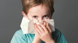 Alergia: wyzwanie dla starszaka LIFESTYLE, Zdrowie - Sezon na alergie rozpoczął się na dobre. Dokuczliwy katar, męczące zapalenie spojówek, trudności w oddychaniu potrafią uprzykrzyć życie dzieciom i dorosłym, ale szczególnie dotkliwe bywają dla kilkulatków.