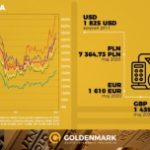 Rekordowe półrocze na rynku złota w Polsce i na świecie